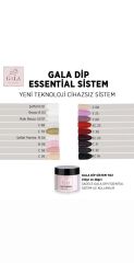Gala Dip Sistem Toz 10 Gr Ec23