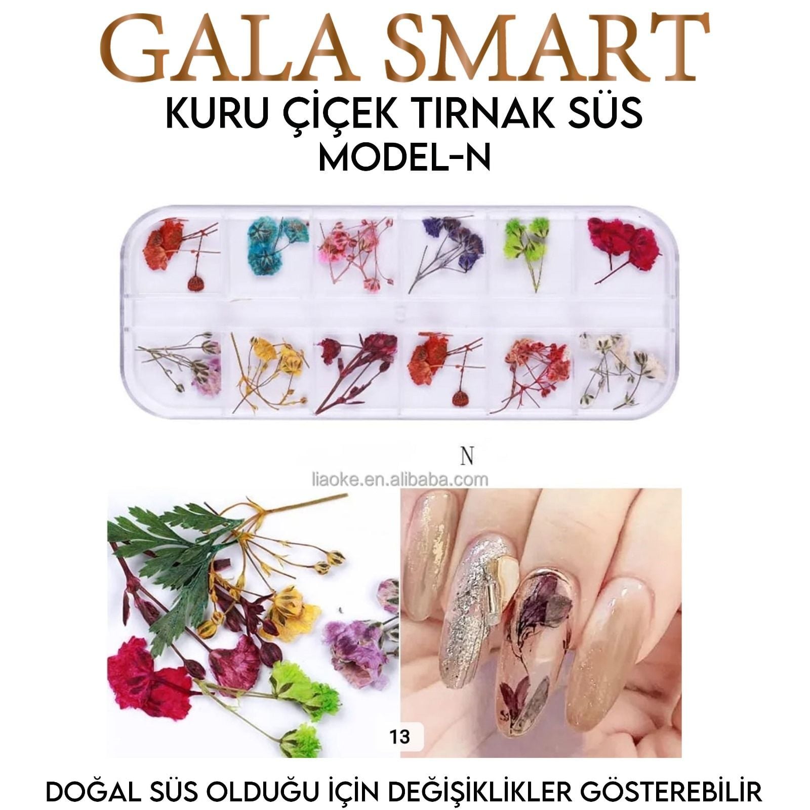Kuru Çiçek Tırnak Süs- Model:N