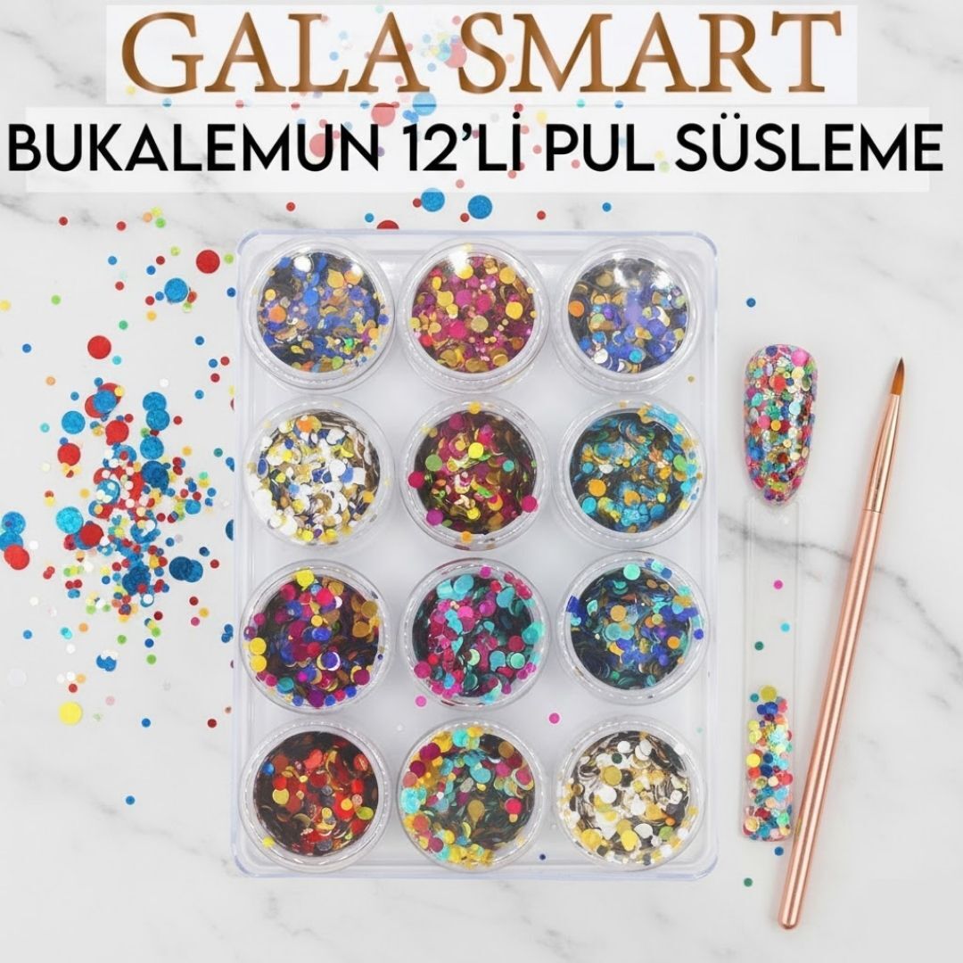 Bukalemun Model 12 Li Pul Set Süsleme