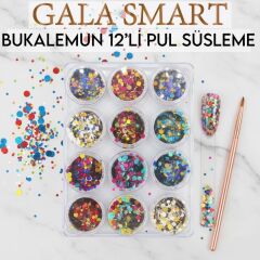 Bukalemun Model 12 Li Pul Set Süsleme