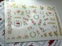 Tnl Professionel Stiker F-11