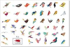 Tnl Professionel Stiker N-1