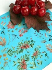 Tnl Professionel Stiker Wc-12