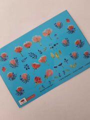 Tnl Professionel Stiker Wc-31